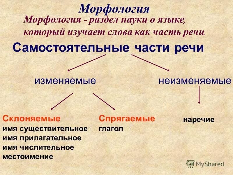 Морфология это кратко. Морфология делится на. Морфология - это раздел науки о языке, изучающий. Морфология это в русском языке.