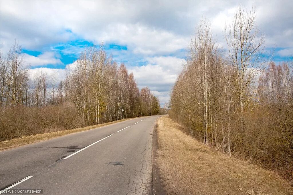Апрель дорога. Дорога весной. весне дорогу!.