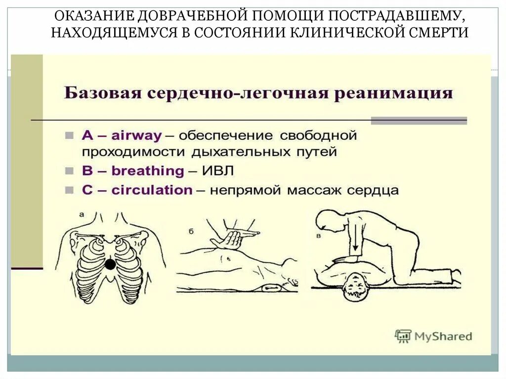 Оказание первой помощи при слр. Порядок оказания первой помощи при клинической смерти. Схема проведения СЛР. Базовая сердечно-легочная реанимация. Сердечно-легочная реанимация при клинической смерти.