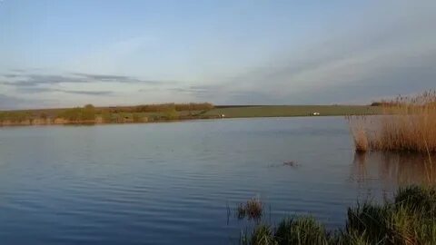 Прилепы рыбалка