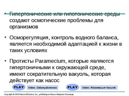 Осморегуляция