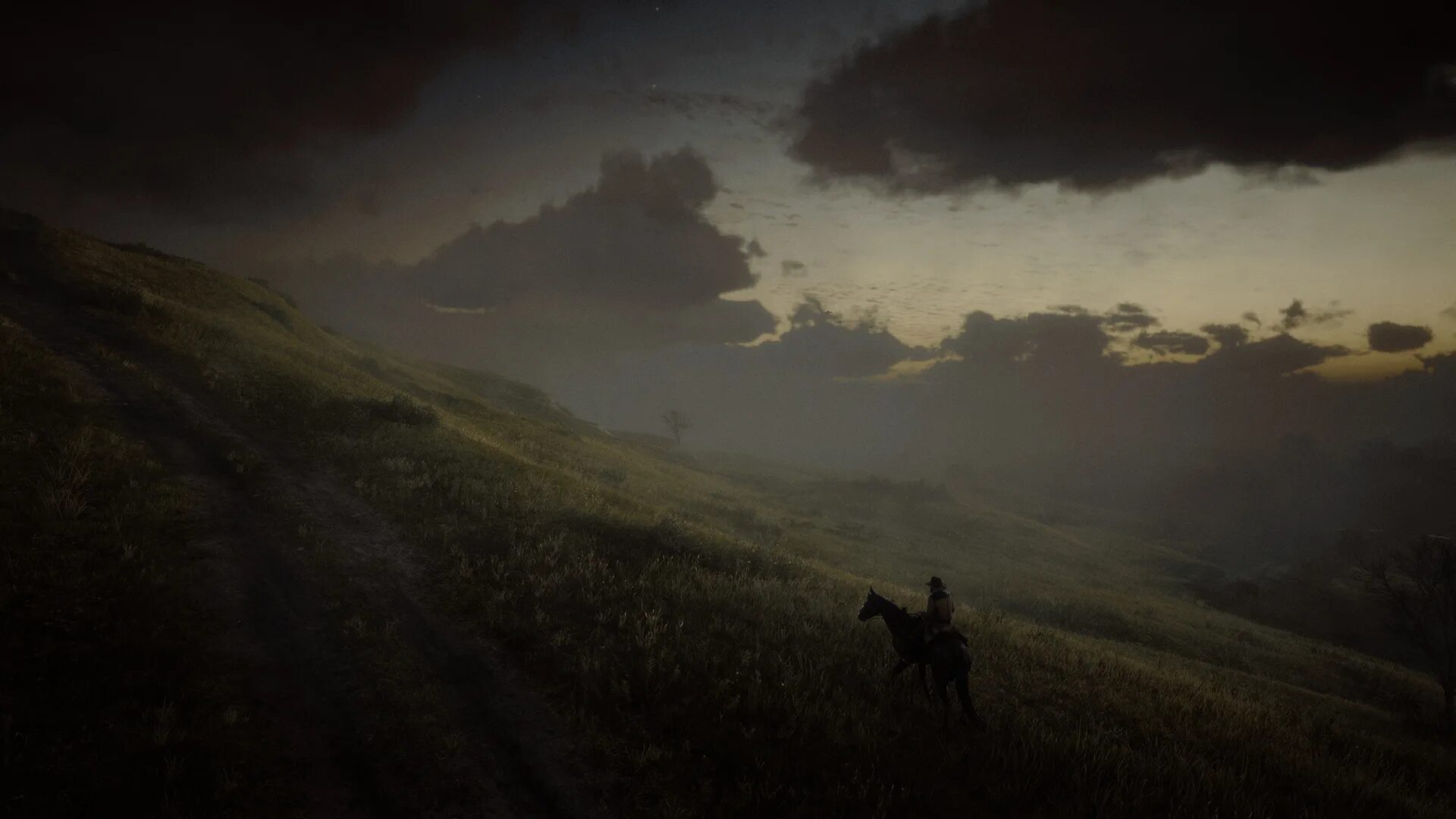 Приложение red dead redemption 2 было закрыто. Red dead redemption 2 природа. листва red dead redemption 2. red dead redemption 2 build 1436.28. billy midnight red dead redemption 2.