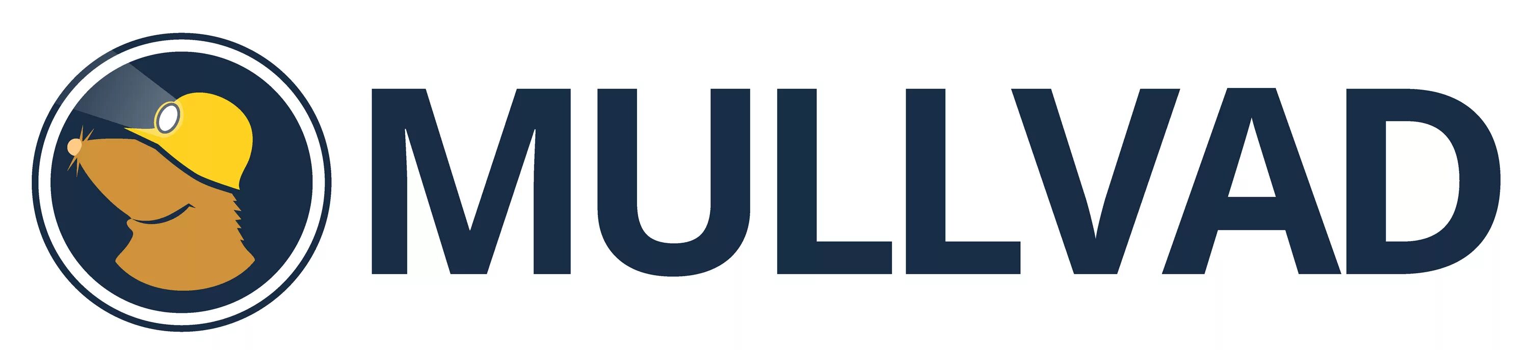 Mullvad net. Mullvad. mullvad logo. mullvad browser.