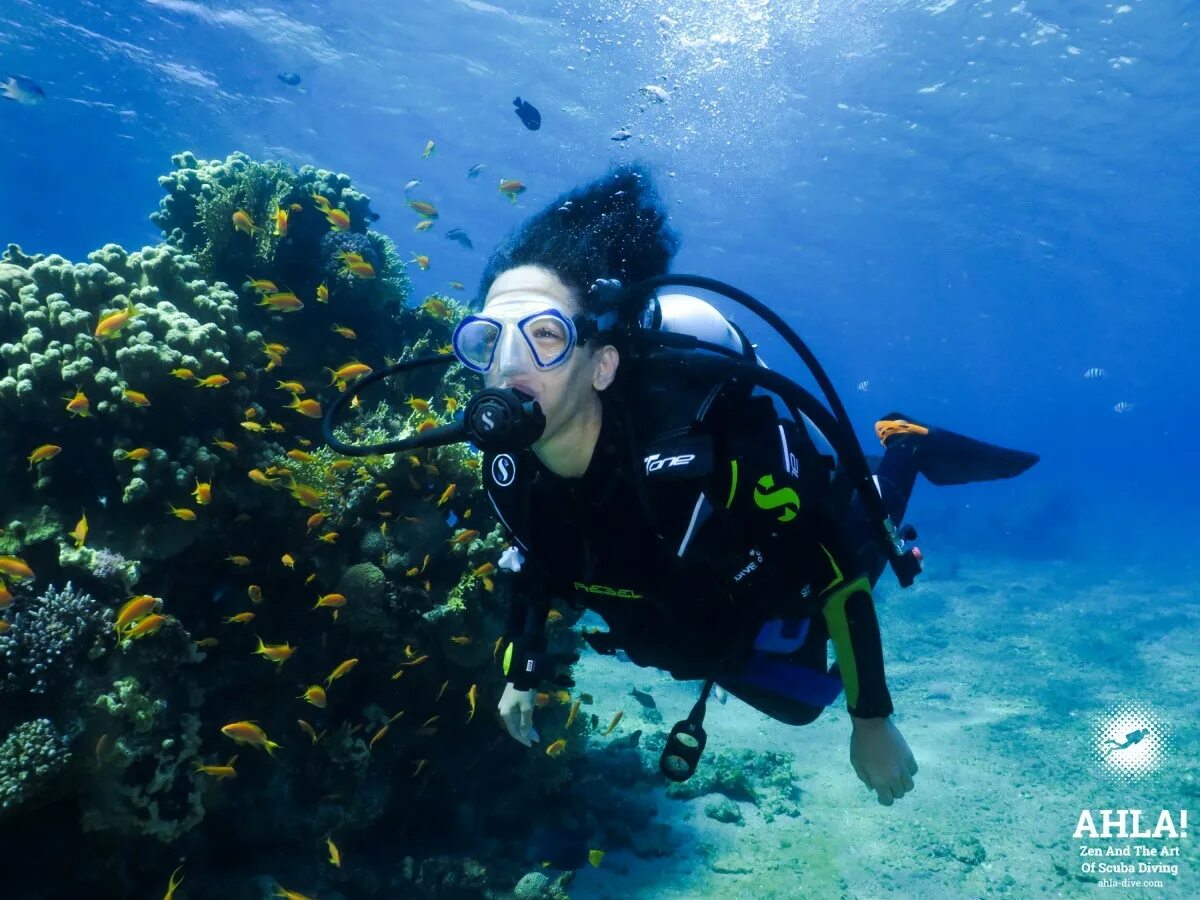 Дип дайв Дубай. Дайвинг центр Red Sea. Натали дайв. Лов дайв