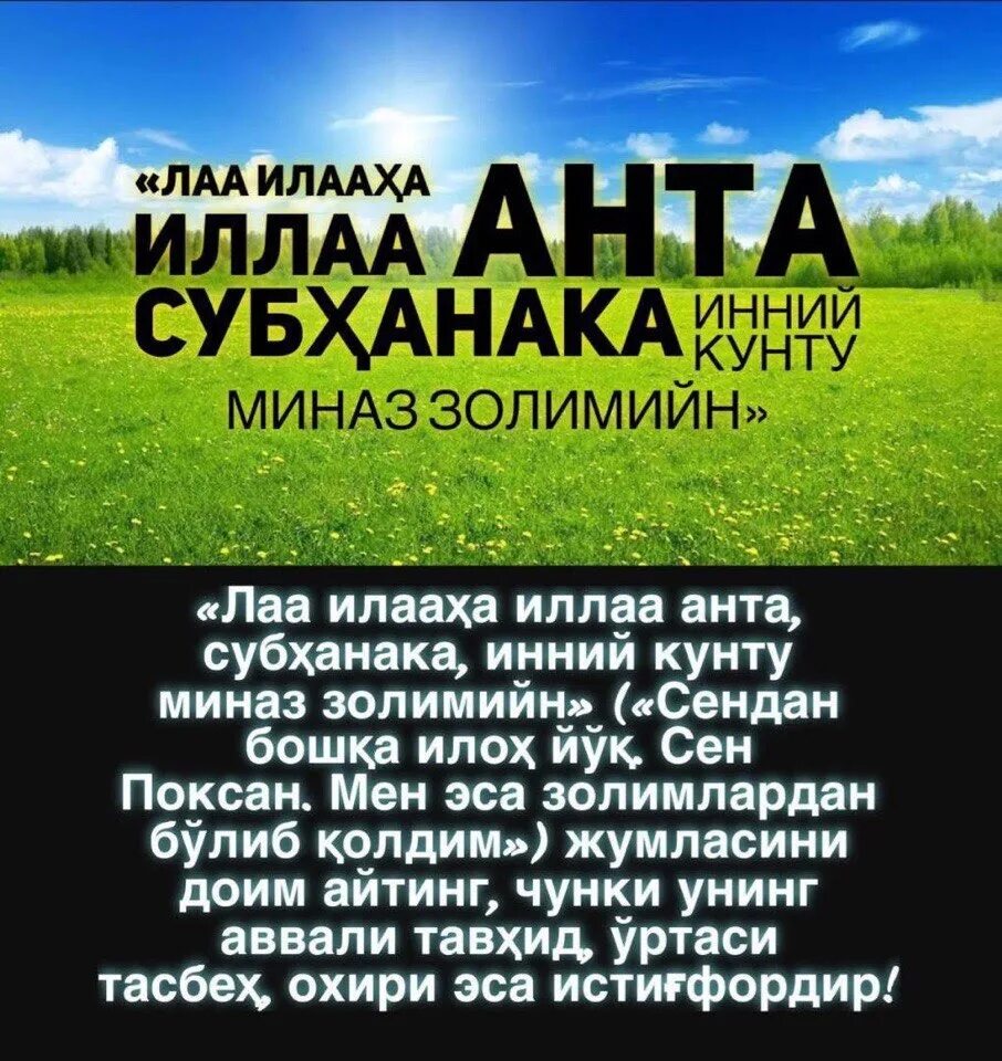 Ля иляха илла Анта субханака. Ла илаха Анта субханака инни Кунту. Ла илаха илла Анта субханака инни Кунту мина-ззалимин. ЛО ИЛЛОХА ИЛО Анта.