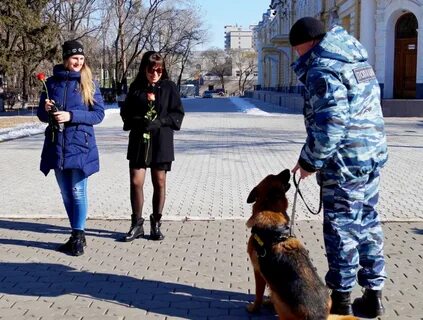 Полиция благовещенск