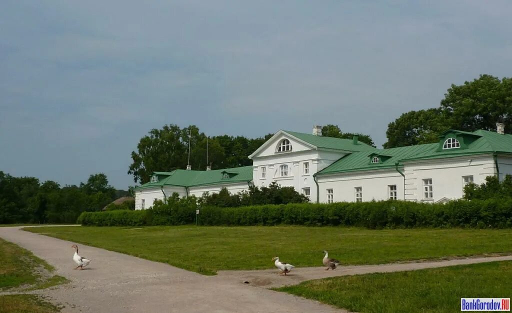 Дом волконского ясная поляна. Природа ясной поляны. Край ясная поляна. Ясная поляна тула дуб. Музей-усадьба ясная поляна.