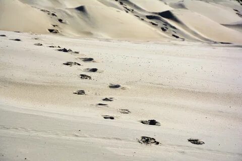 T sand