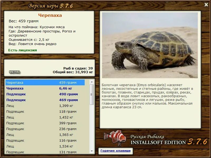 турнир деревенские просторы кв потайная черепаха. сколько весит черепаха. 6 деревенские просторы. черепаха деревенские просторы. вес черепах.