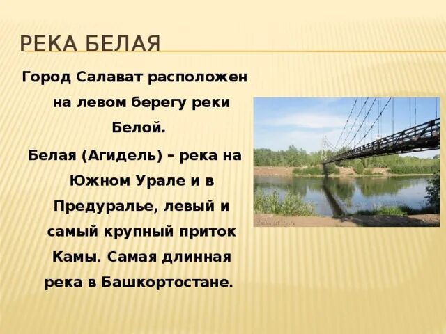 Река кама растения и животные реки. Ока (река) притоки оки (приток волги). Река кама и ее притоки на карте. Бассейн реки кама. Камышинка (приток волги).