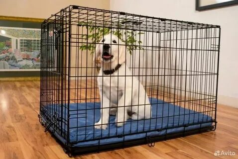 Авито клетка для собак
