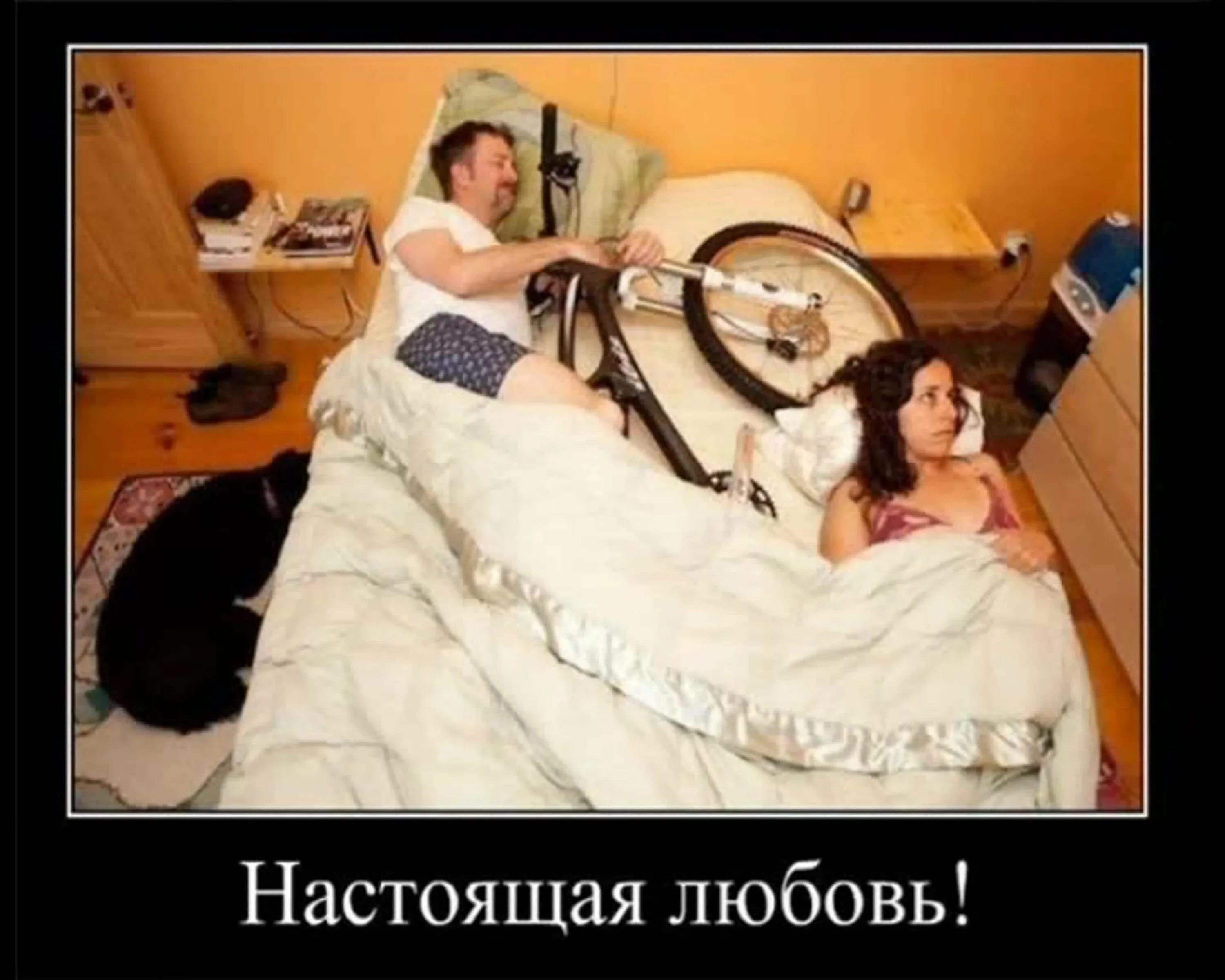 С нетраханной квартиранткой жить куда интересней