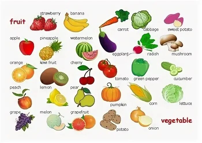 Яркие овощи. Фото овощей на белом фоне по отдельности. Овощи и фрукты. Fruit handwriting. Овощи фрукты сверху.