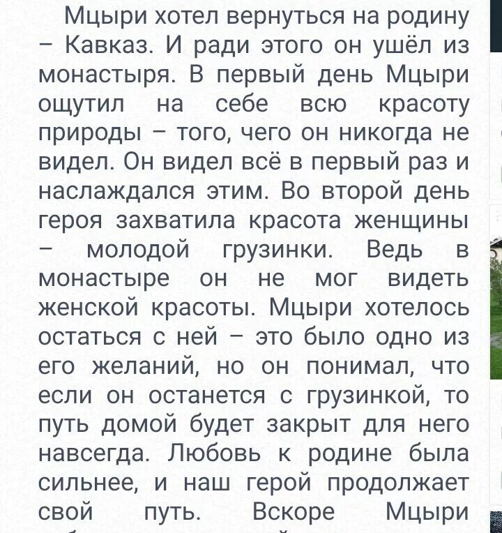 Какой смысл имеет финал мцыри. В чем смысл жизни мцыри. смысл жизни мцыри. в чем смысл жизни мцыри сочинение. смысл человеческой жизни мцыри.