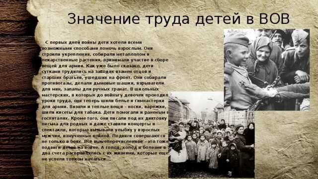 Вов значение имени. Дети в вов собирали лекарственные растения. про детей которые трудились на войне. отношение детей к войне. дети труд вов укрепления.