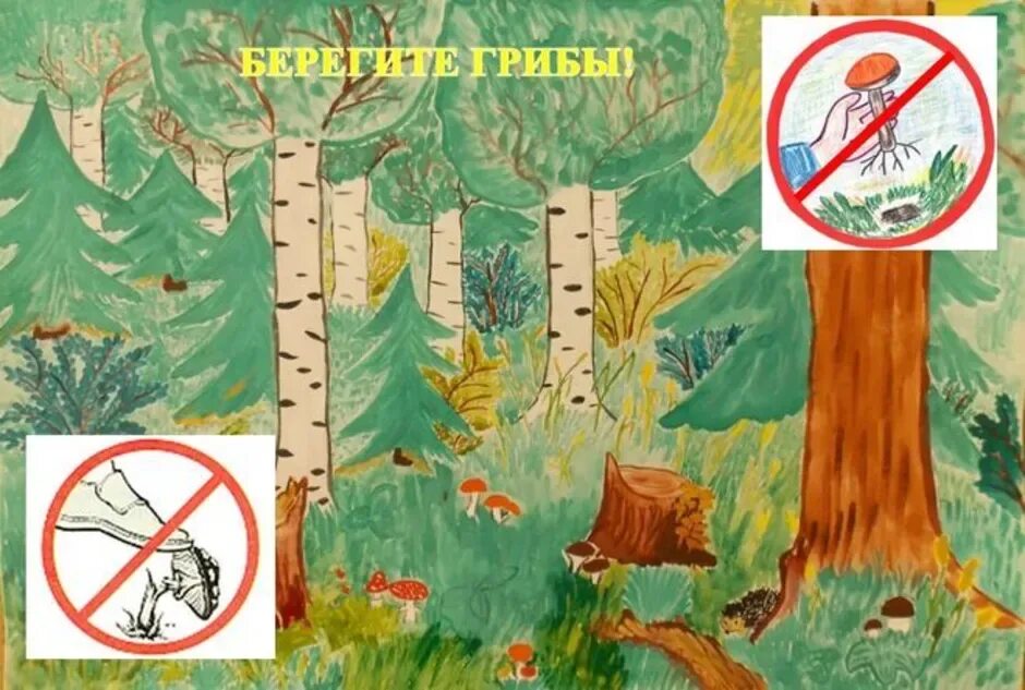 Проект береги лес. Рисунок на тему лес. Защита леса для детей. Рисунки по охране леса. Рисунок на тему дети о лесе.