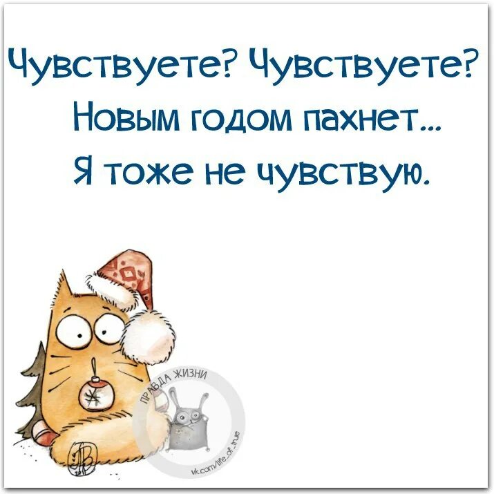 Вы тоже это чувствуете. Правда жизни. чувствуете выходными пахнет. чувствуете новым годом пахнет. новый год чувствуется.