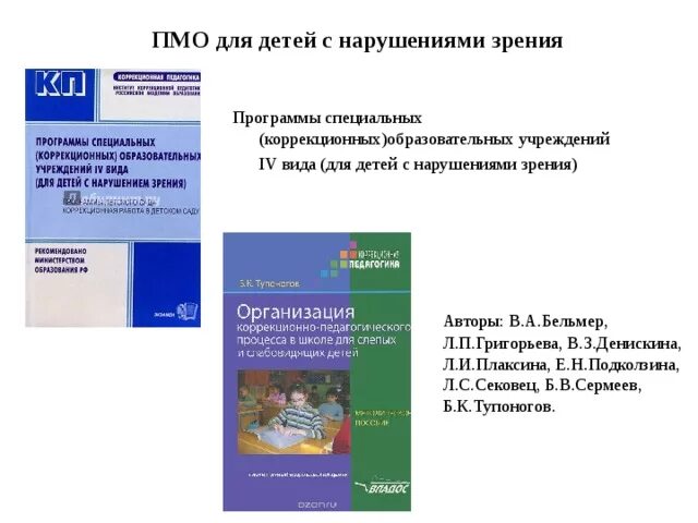 Плаксина программа для детей с нарушением зрения. Программа специальных коррекционных с нарушением зрения. Программа Плаксиной для детей с нарушением. Программы для специальных коррекционных образовательных учреждений. Образовательная программа специальных коррекционных образовательных учреждений