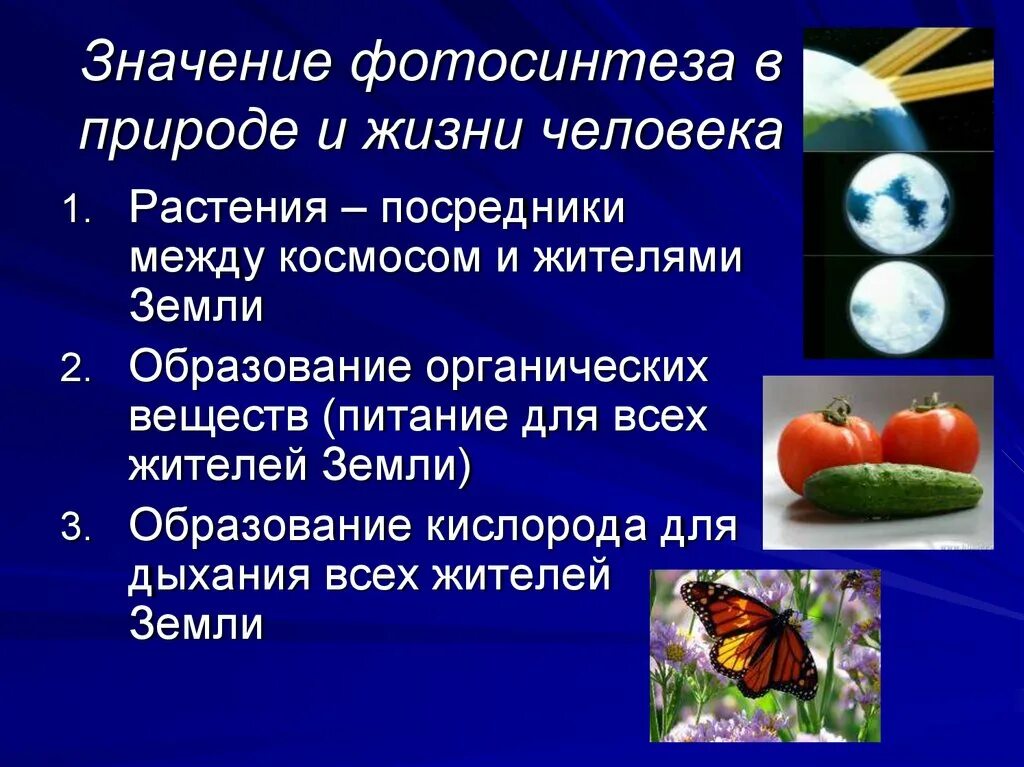 Значение в природе для человека 5. Роль фотосинтеза в природе и жизни человека 6 класс биология. значение фотосинтеза в природе. роль фотосинтеза в жизни. значение фотосинтеза для человека и природы.