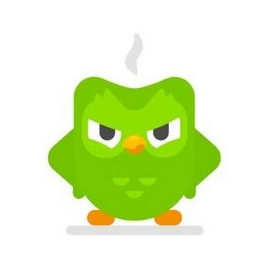 Duolingo Duo. Duolingo Сова злая. Duolingo зелёная Сова. Зеленая сова английский