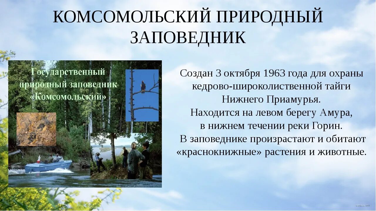 Заповедные места слова. Заповедники Хабаровского Хабаровск заповедники. Комсомольский заповедник Хабаровский край. Заповедные места Хабаровского края. Заказники Хабаровского края.