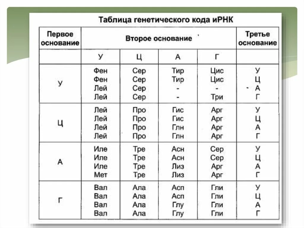 Таблица генетического кода РНК по биологии. Таблица генетического кода ИРНК биология ЕГЭ. Таблица генетического кода и-РНК ЕГЭ. Таблица генетического кода ЕГЭ биология.