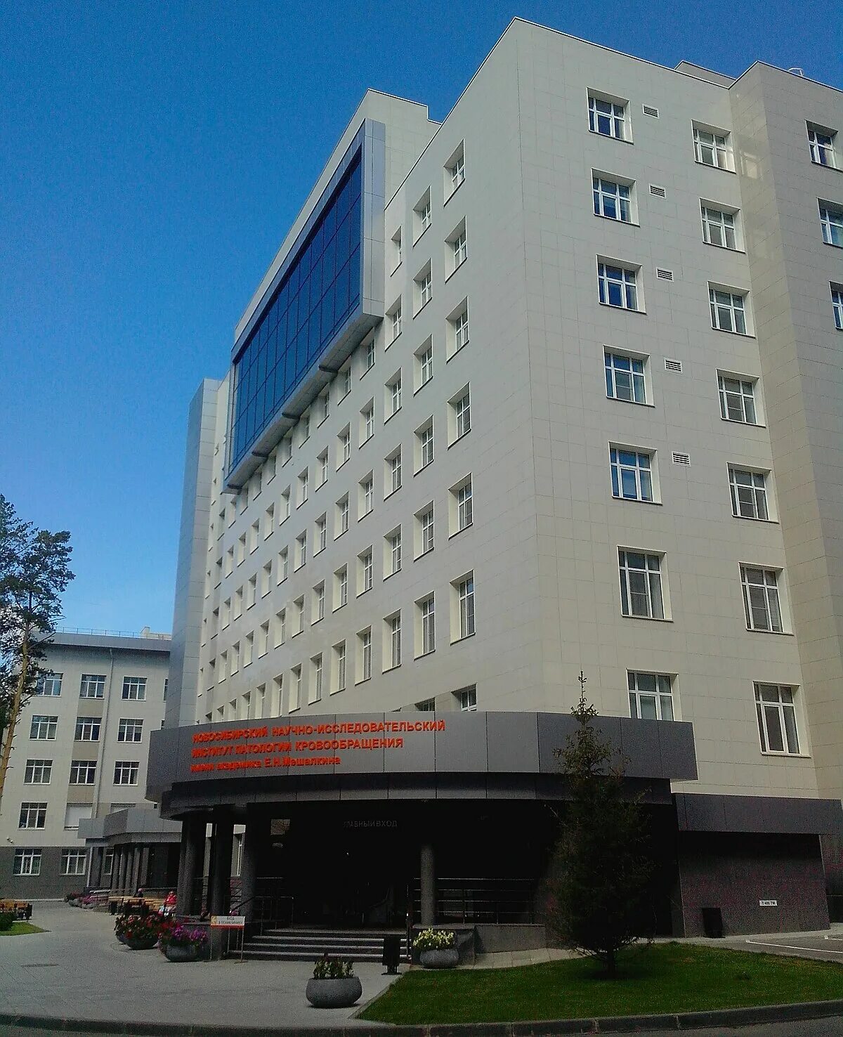 Новосибирск научно исследовательский. Новосибирск научно исследовательский. Новосибирск научно исследовательский институт. Новосибирск научно исследовательский. Мешалкина в г.