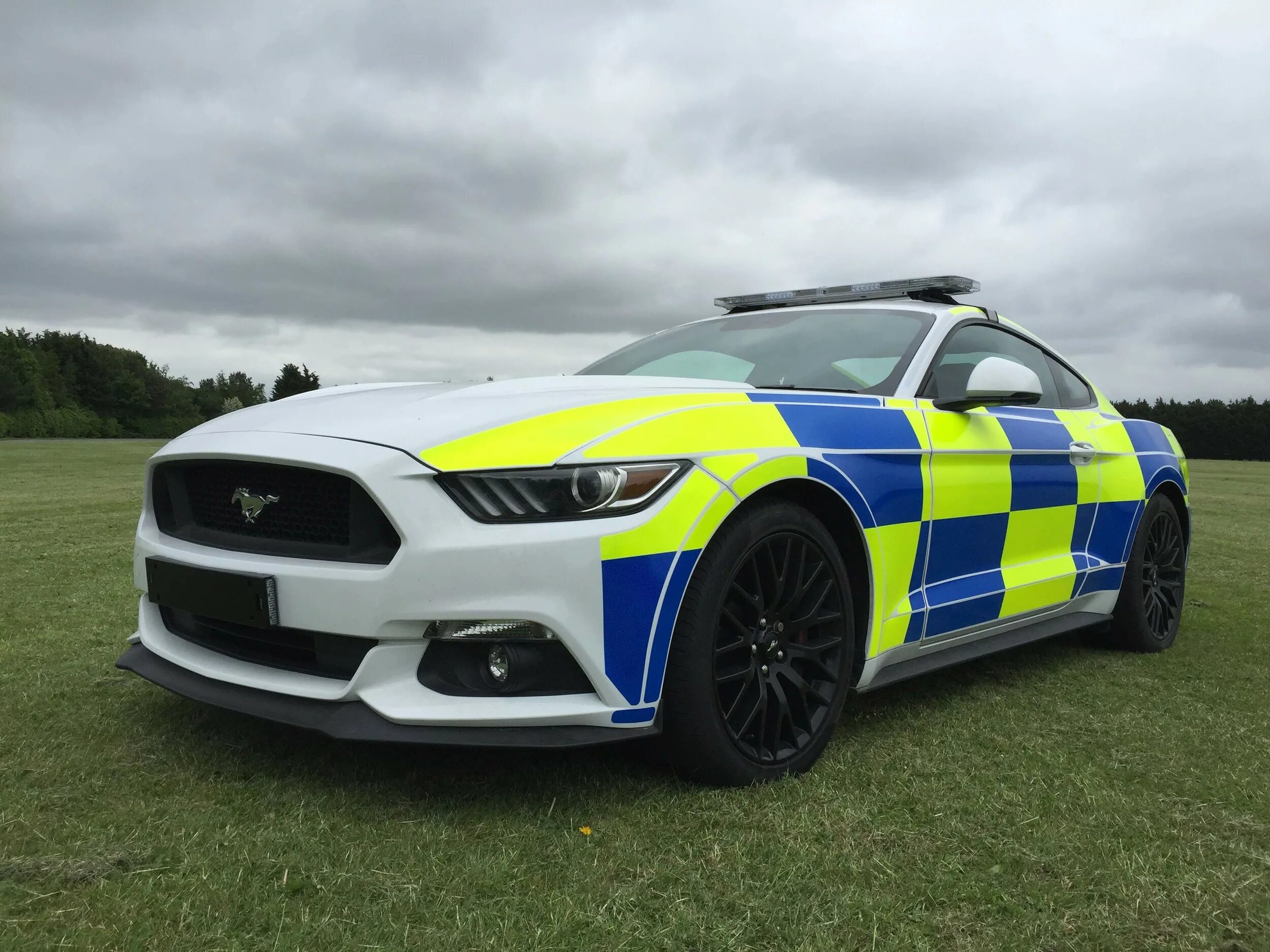 Полицейский мустанг. Ford Mustang 2016 Police. Форд Мустанг 2000 Police. Полицейский Форд Мустанг gt. Ford Mustang gt 2015 Police.