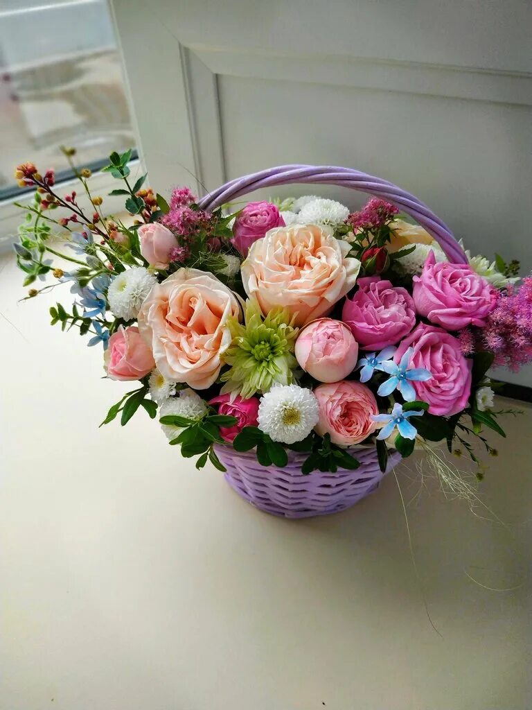 цветы могилев