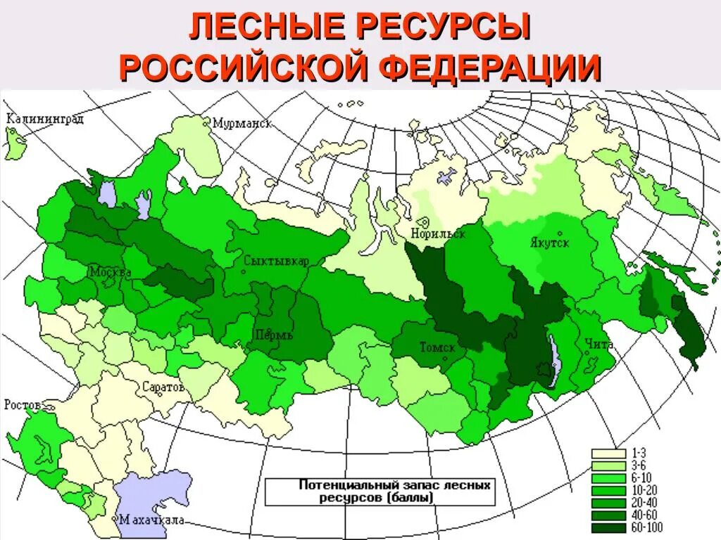 Страны без лесов. Карта лесных ресурсов РФ. Запасы древесины в России. Лесные запасы России карта. Лесные ресурсы России карта 2022.