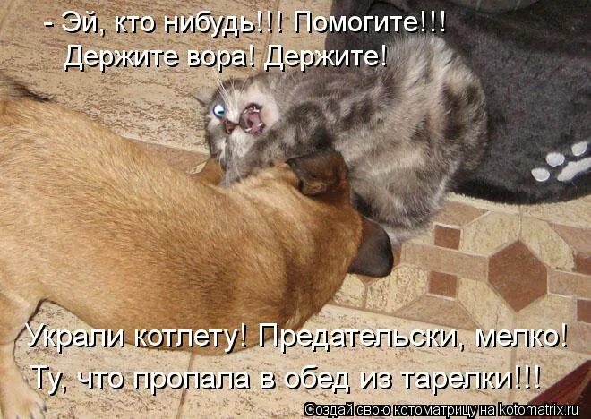 Дружище не шелести. Давай что нибудь поможем. Шутки про продавцов. Вам что то подсказать. Продавец консультант мем.