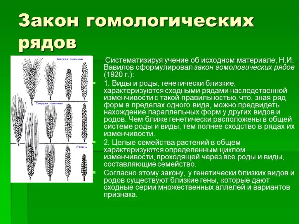 Общебиологическое значение закона гомологических рядов. Гомологические ряды изменчивости (н.и. Вавилов). Закон гомологических рядов Вавилова. Гомологических рядов в наследственной изменчивости н.и. Вавилова. Закон гомологических рядов изменчивости Вавилова.