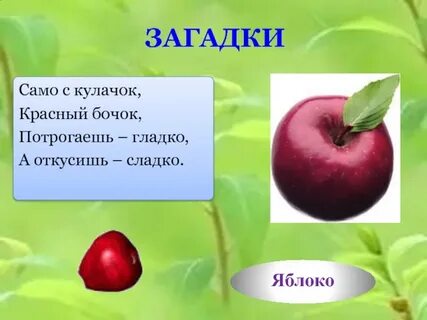 Загадка про яблоко