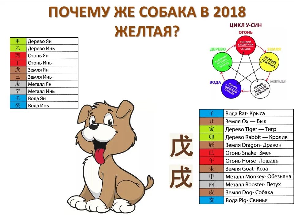 Какие года подходят год собаки. 2018 Год какого. 2018 Год какого животного был. 2018 Год какого зверя. 2018 Год по восточному гороскопу.