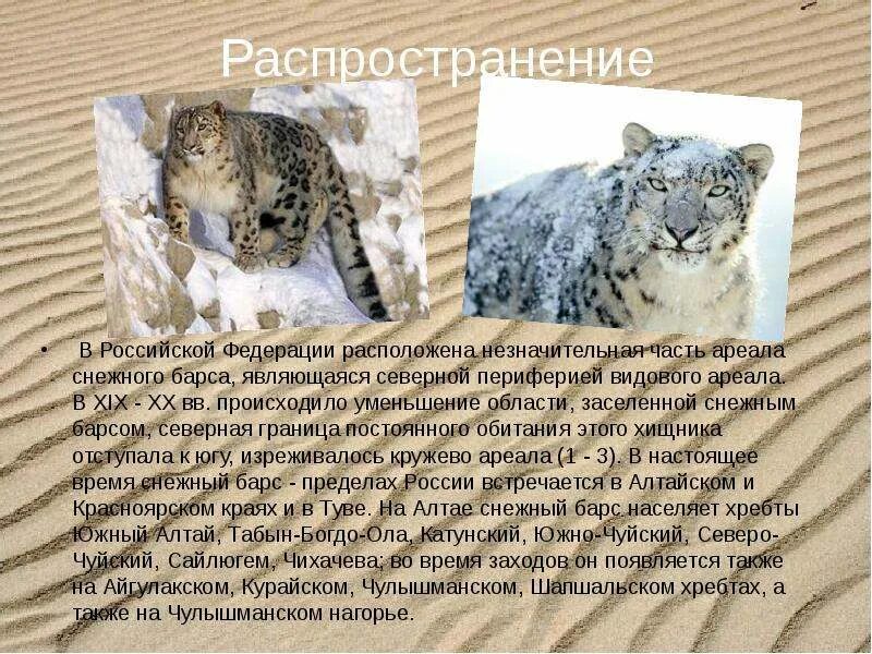 Снежный барс проект 4 класс Снежный барс россии список вершин 57 фото