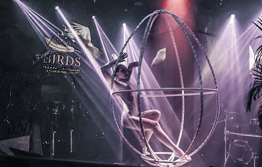 Ресторан бердс в башне. Birds the highest restaurant and club москва. бердс в москва сити ресторан. ресторан бирдс москва сити. клуб birds москва сити.