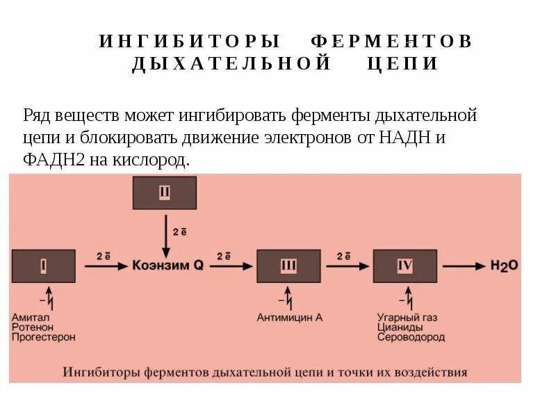 Укажите ингибиторы