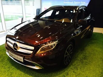S auto отзывы