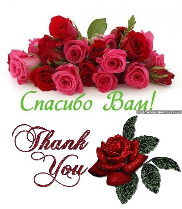 спасибо приятно перевод. открытки с благодарностью спасибо. благодарность за поздравления. спасибо очень приятно. спасибо приятно перевод.