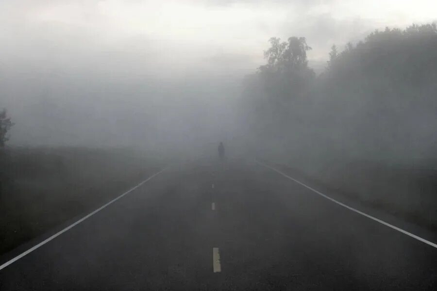 Густой туман тип предложения. Дорога в тумане. Сильный туман. Густой туман на дороге. Страшная дорога в тумане.