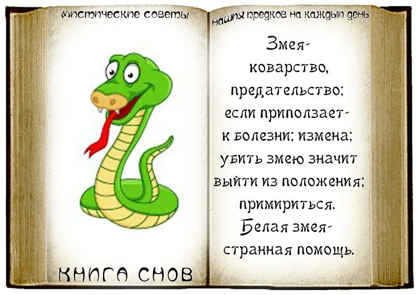 Сонник убивал змей во сне. Сонник к чему снятся змеи во сне. Сонник что означает змея во сне. Сонник змея приснилась женщине.