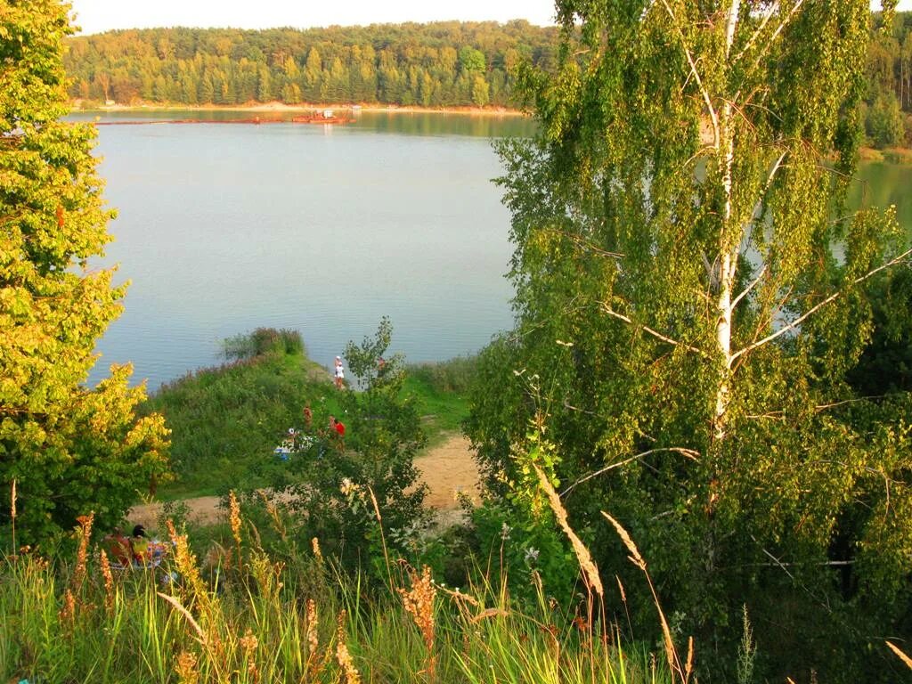 Озеро на н. Лыткарино озеро. Лыткарино карьер. Волкуша Лыткарино. Озеро долгое Лыткарино.