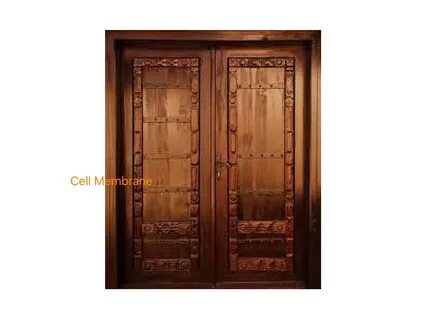 Doors items