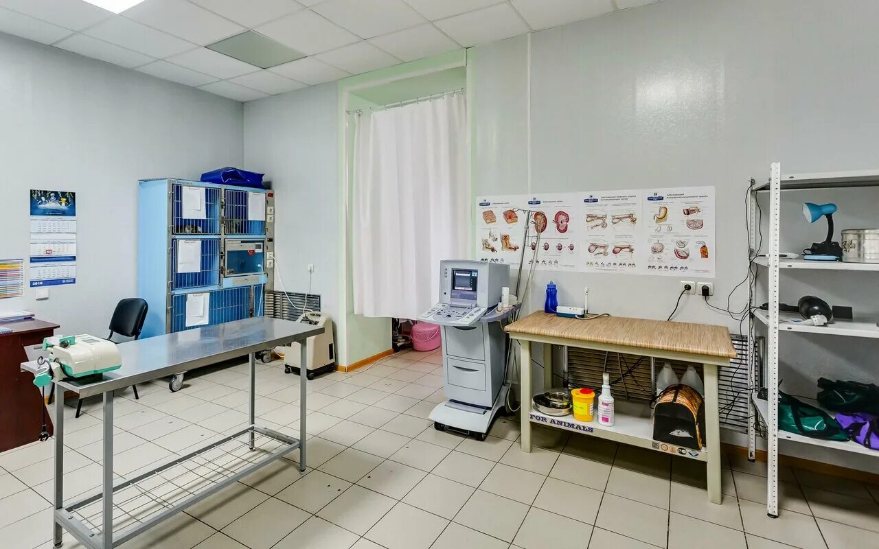 стоматология на космонавтов 5г ростов-на-дону. клиники на северном в ростове на дону. клиники на северном в ростове на дону. гранти стоматология ростов-на-дону на орбитальной. медицинский центр ростов-на-дону северный.