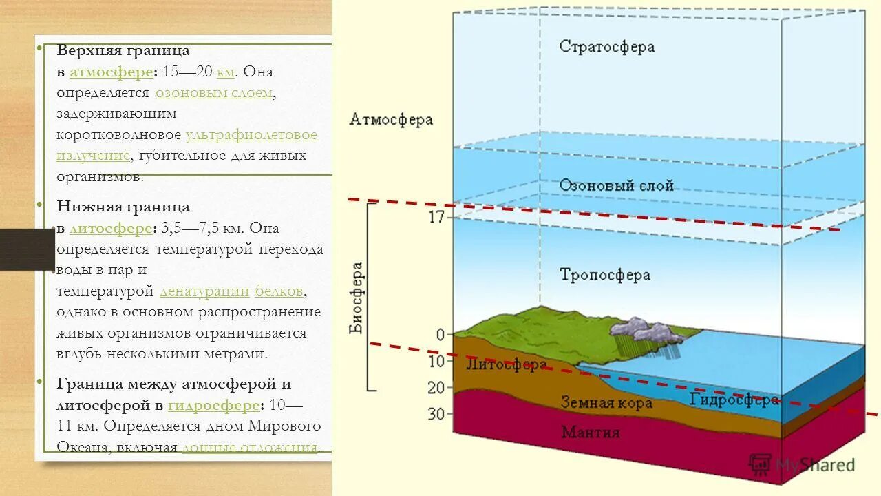 Что является нижней границей атмосферы тест 6. Литосфера гидросфера атмосфера Биосфера. Верхняя граница атмосферы. Верхняя граница биосферы. Границы биосферы атмосфера гидросфера литосфера.