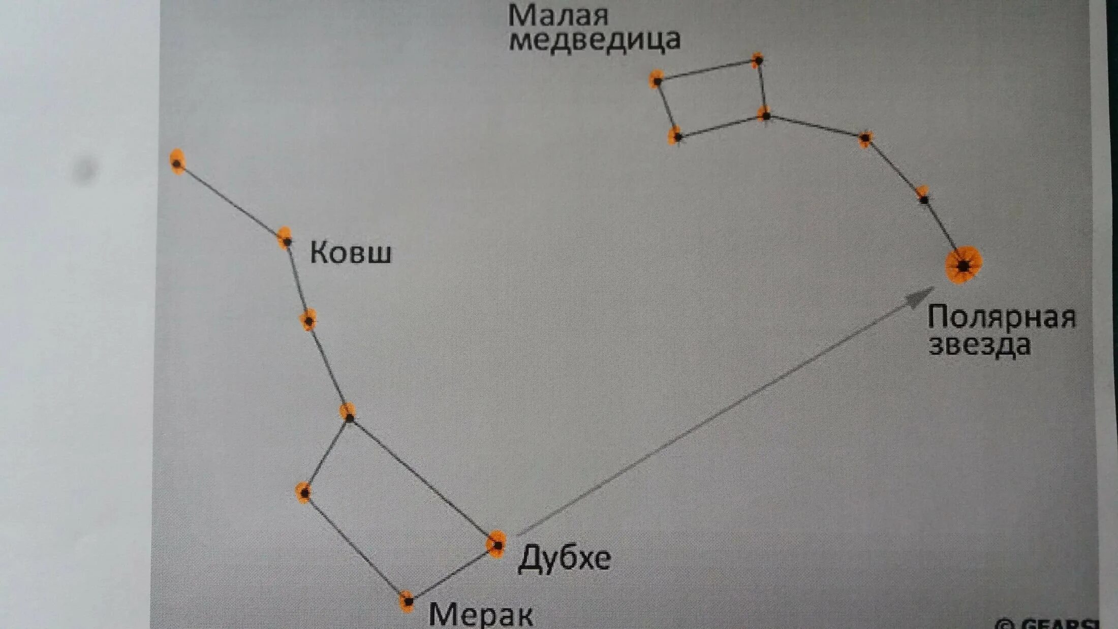 Созвездие ковш малой медведицы. Большая и малая Медведица Полярная звезда. Созвездие малая Медведица и Полярная звезда. Звёзды ковша малой медведицы. Созвездие большой и малой медведицы и Полярная звезда.