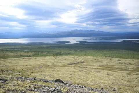 Погода умбозеро норвежский сайт мурманской