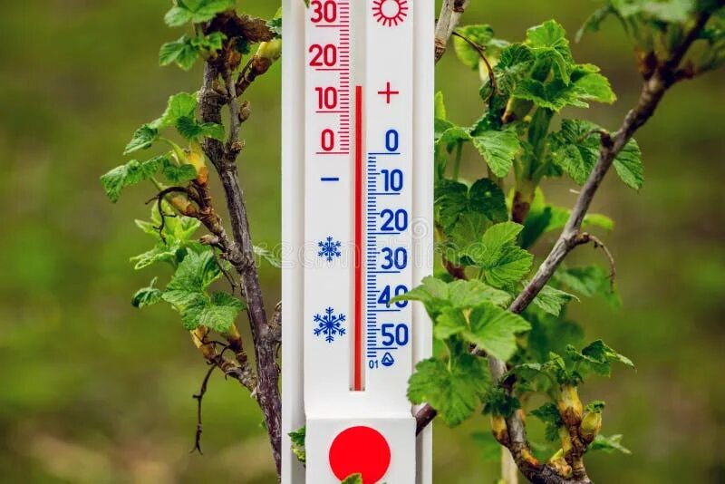 Температура 5 градусов тепла. Термометр уличный. Градусник уличный весной. Термометр летом.