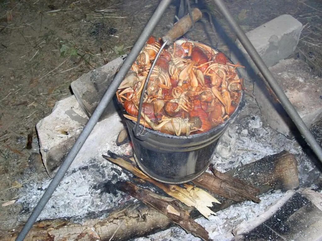 Кастрюля для костра. Уха на природе на костре. Еда на костре в походе. Варенная на костре. Уха на даче на костре.