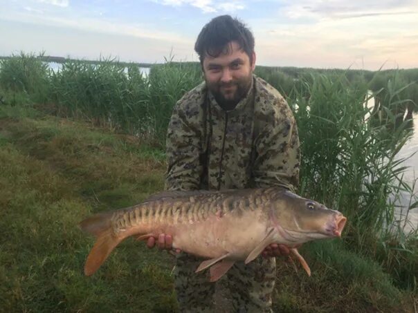 Рыбалка иваново. Станица Ивановская рыбалка. Рыбалка в Ивановской Краснодарский край. Карп в Ивановской области. Рыбацкое Ивановская.